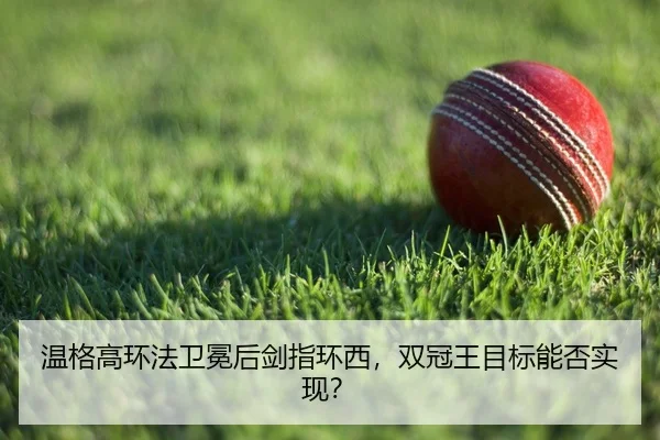 wen-ge-gao-huan-fa-wei-mian-hou-jian-zhi-huan-xi-shuang-guan-wang-mu-biao-neng-fou-shi-xian-2-459.jpg